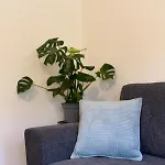 Comfy 3br Downtown Ypsila Alonia View Pátra