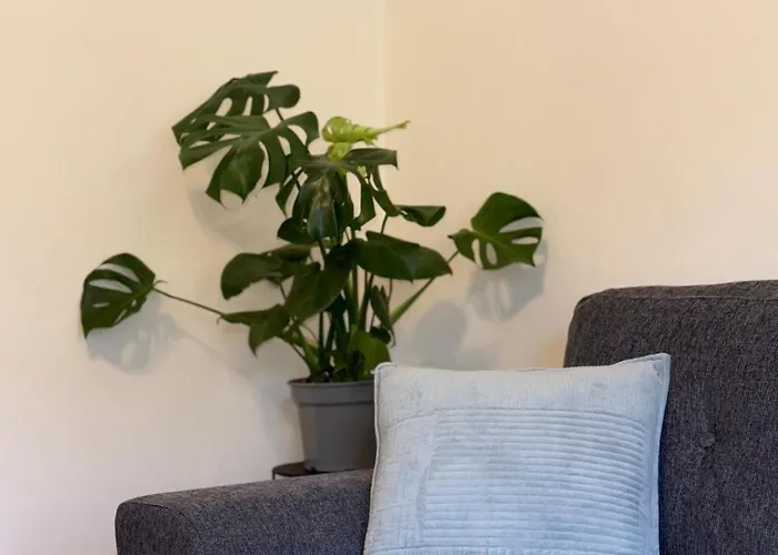 Comfy 3br Downtown Ypsila Alonia View Πάτρα